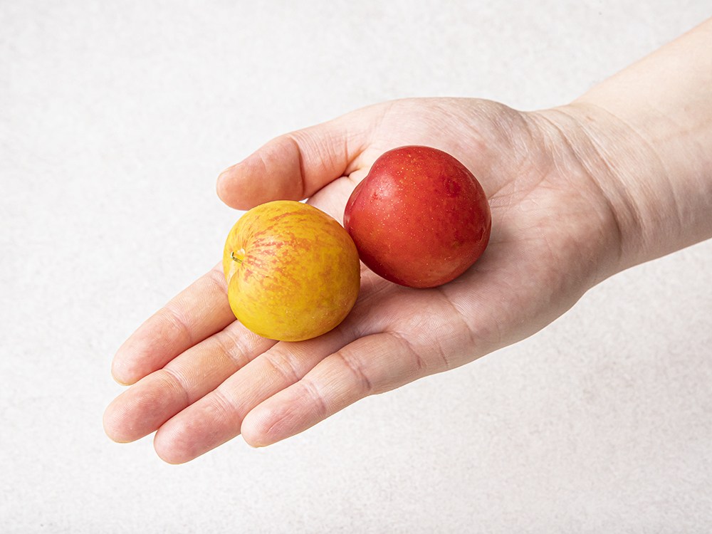 Saebyeokgyeong Sheets Saekomdalkom Hauseu Kkoma Plum , 300 g(7~9 Pack ), 1 Pack (새벽경매 새콤달콤 하우스 꼬마자두, 300g(7~9입), 1팩)