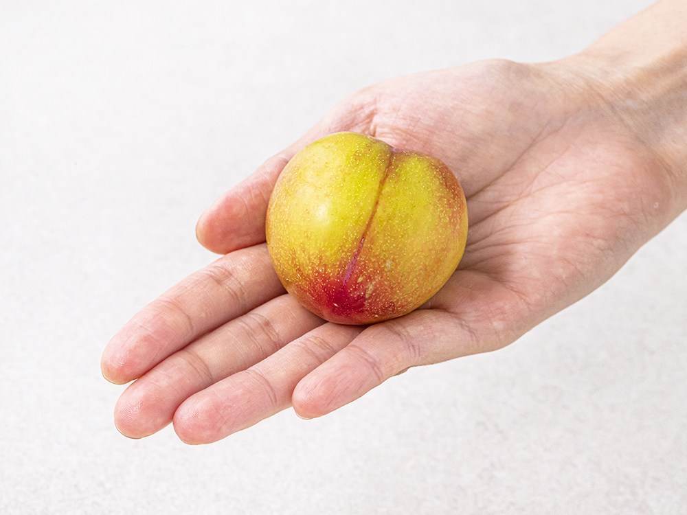 Dajoeun Gimcheon Plum (4~6 Pack ), 300 g, 1 Pack (다조은 김천 자두(4~6입), 300g, 1팩)