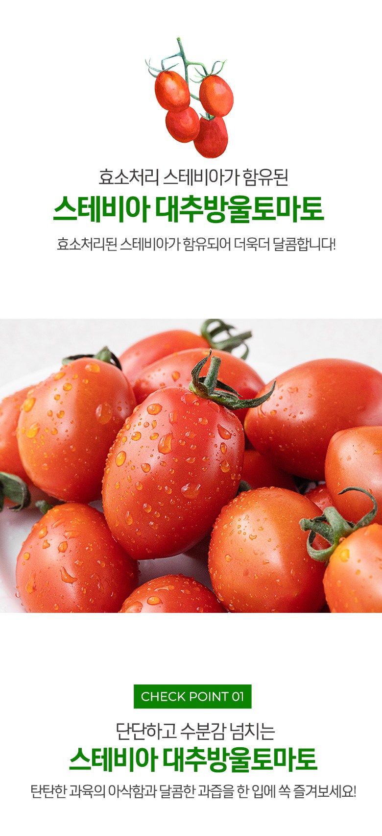 Seutebia Daechu Cherry Tomato , 450 g, 1 Pack (스테비아 대추방울토마토, 450g, 1팩)