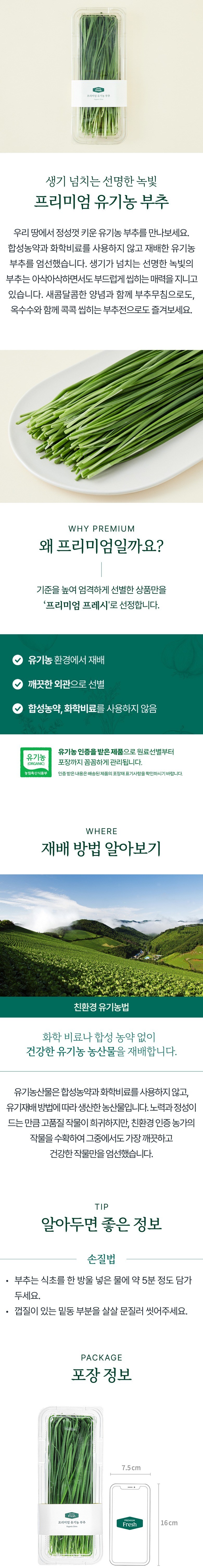 Organic Korean Chive , 150 g, 1 Pack (프리미엄 유기농 부추, 150g, 1개)