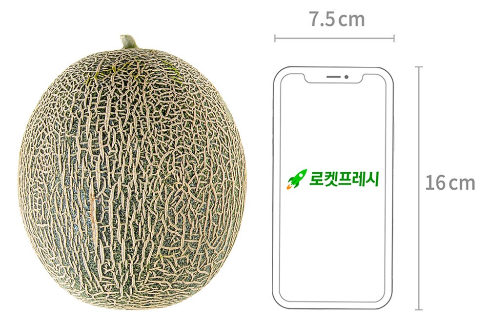 GuamPick High Sweetness Hami Melon (곰곰 고당도 하미과 멜론)