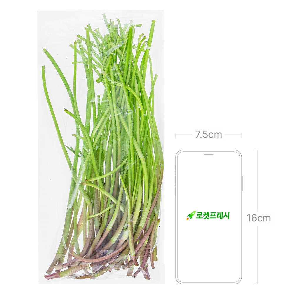 Julgiman It Cheongdo Water Dropwort , 1 Pack , 100 g (줄기만 있는 청도 미나리, 1개, 100g)