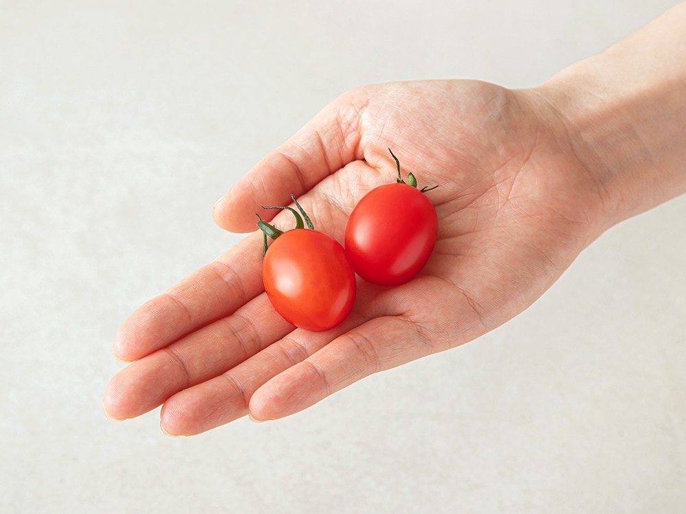 Seuwitto Seutebia Daechu Cherry Tomato , 450 g, 1 Pack (스윗토 스테비아 대추방울토마토, 450g, 1팩)