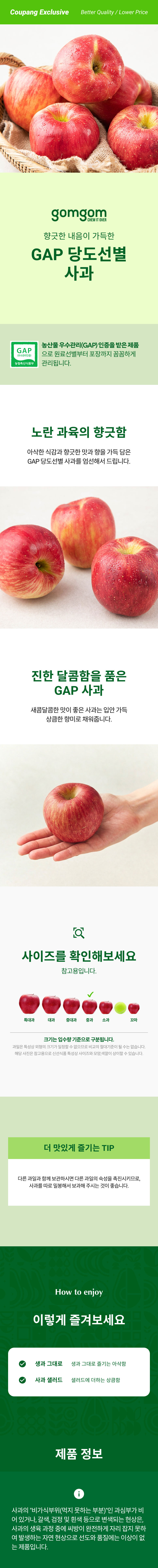 GAP Sweetness Seonbyeol Apple , 1.5 kg( Jung ), 1 Bag (GAP 당도선별 사과, 1.5kg(중과), 1봉)