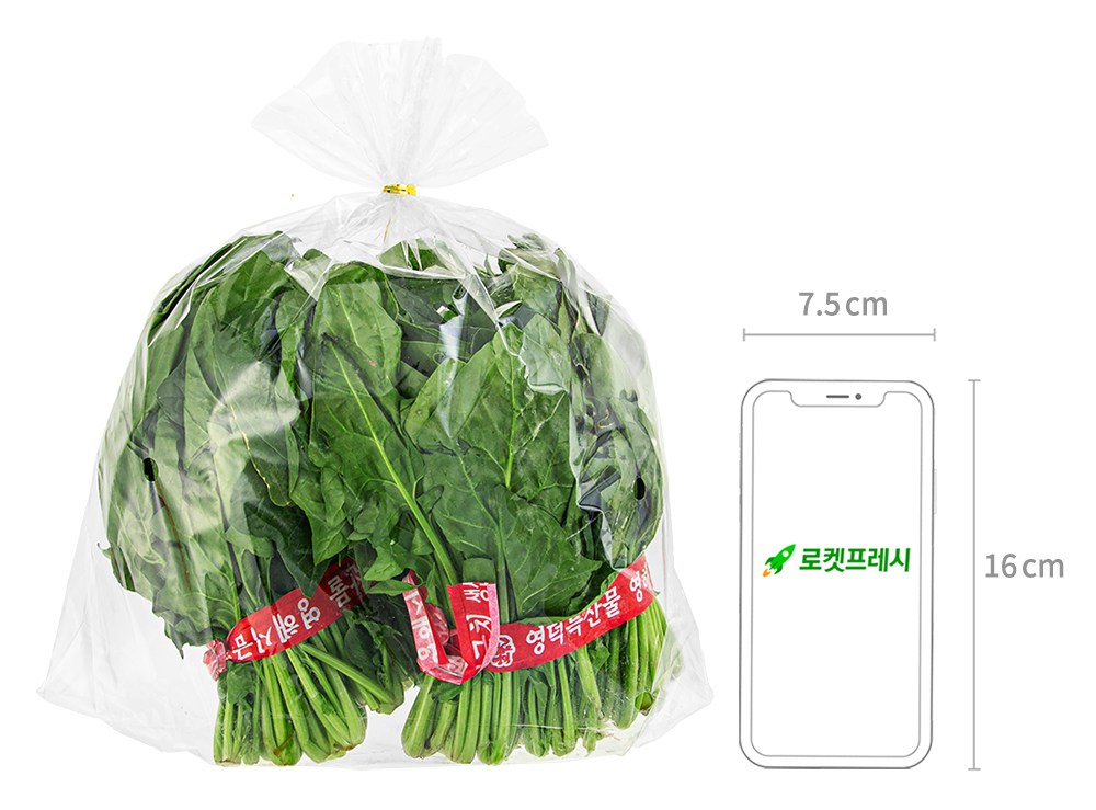 Domestic Yeongdeok Sigeumchi , 600 g, 1 Pack (국내산 영덕 시금치, 600g, 1개)