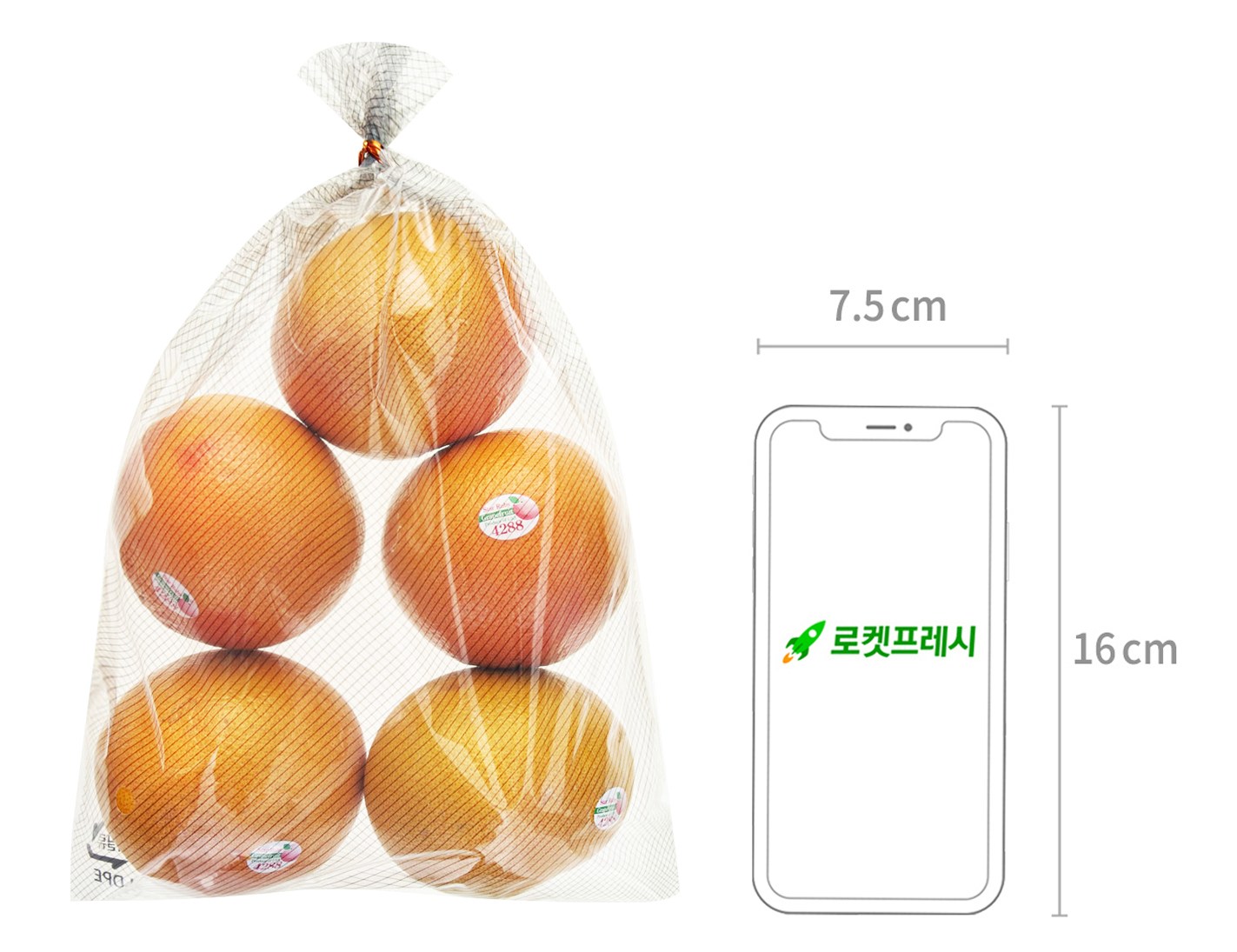 GuamPick American Jamong , 1 kg, 1 Pack (곰곰 미국산 자몽, 1kg, 1개)