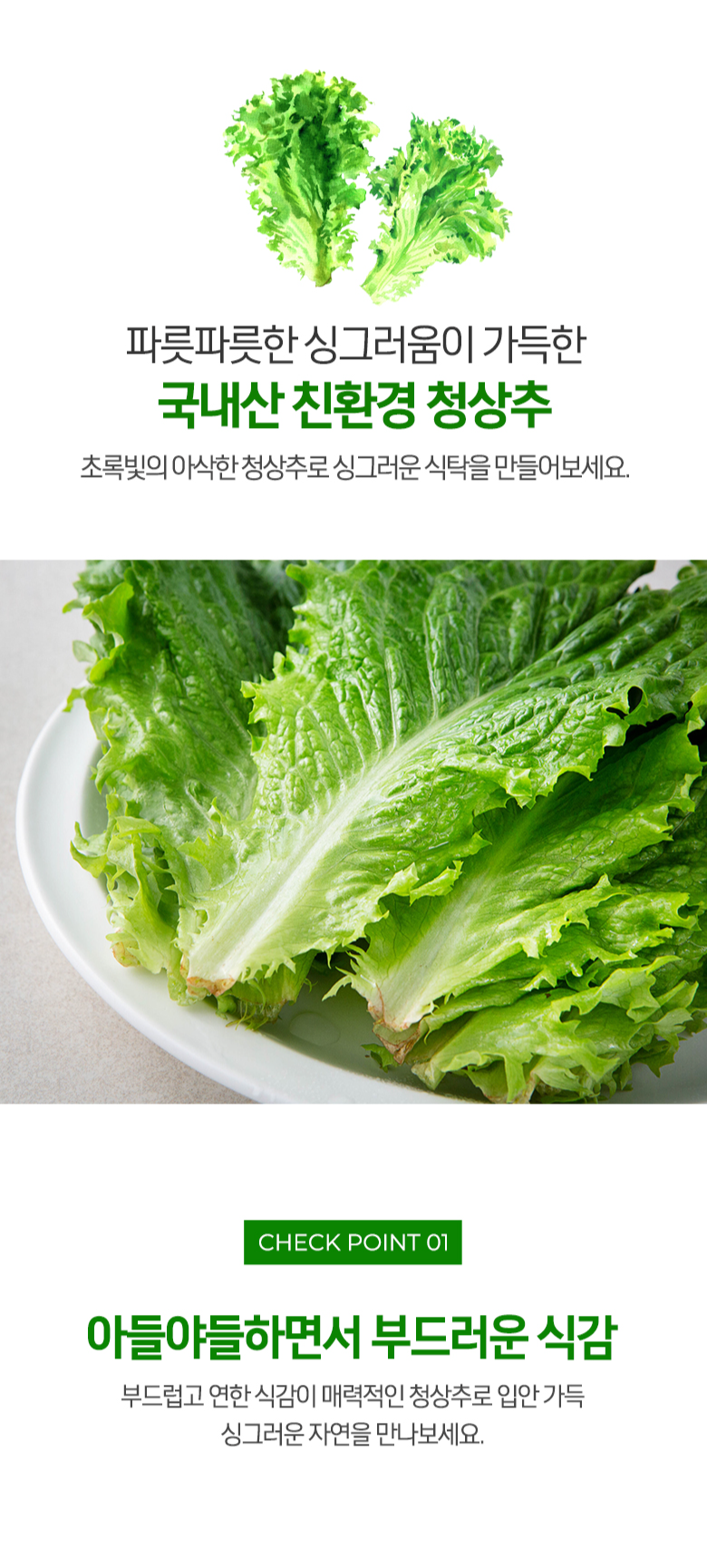 Domestic Eco-friendly Green Lettuce , 200 g, 1 Bag (국내산 친환경 청상추, 200g, 1봉)