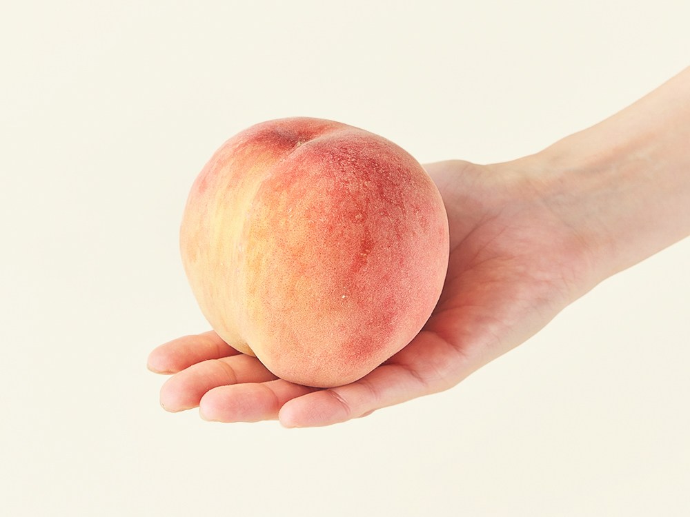 상품 상세 이미지 5