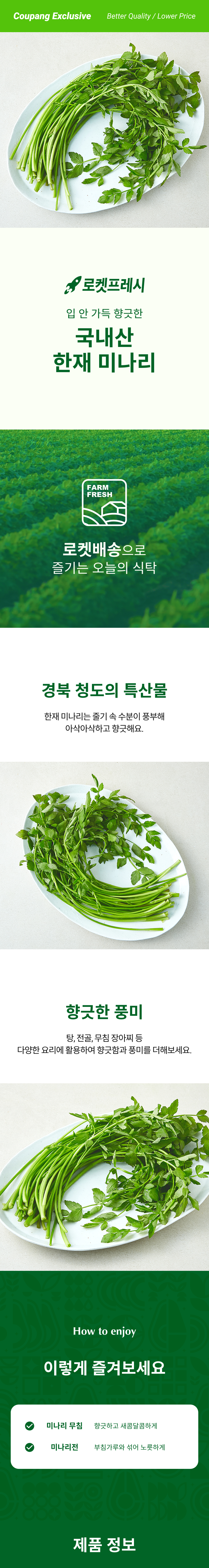 Domestic Jae Water Dropwort , 1 Pack , 200 g (국내산 한재 미나리, 1개, 200g)