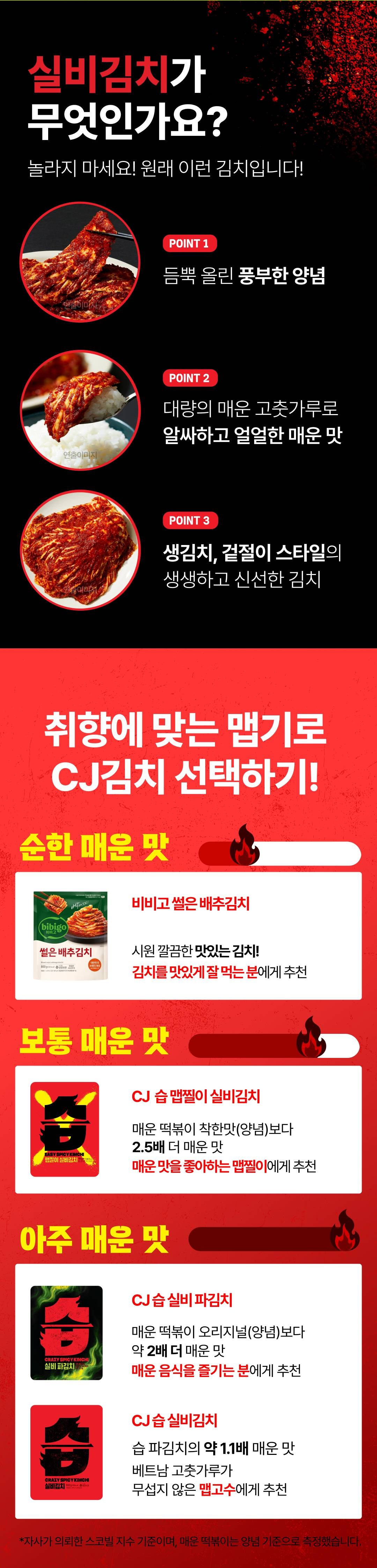 CJ CheilJedang Seup Silbi Pa Kimchi , 500 g, 1 Pack (CJ제일제당 습 실비 파김치, 500g, 1개)