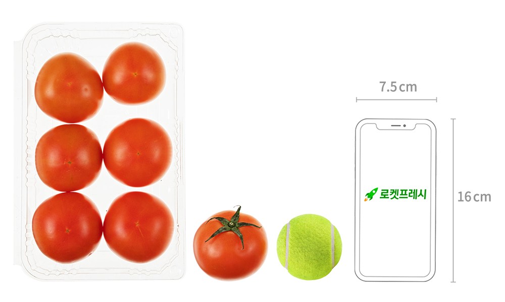 GuamPick Eco-friendly Tomato , 900 g, 1 Pack (곰곰 친환경 토마토, 900g, 1팩)