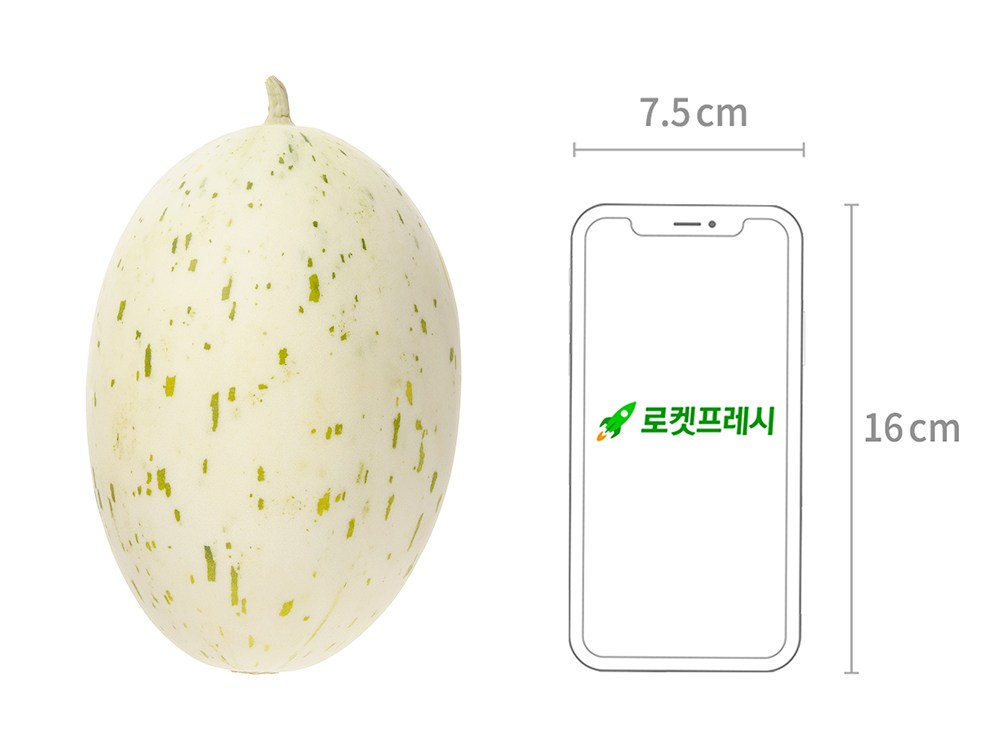 Baekja Melon , 1.1 kg, 1 Pack (백자멜론, 1.1kg, 1개)