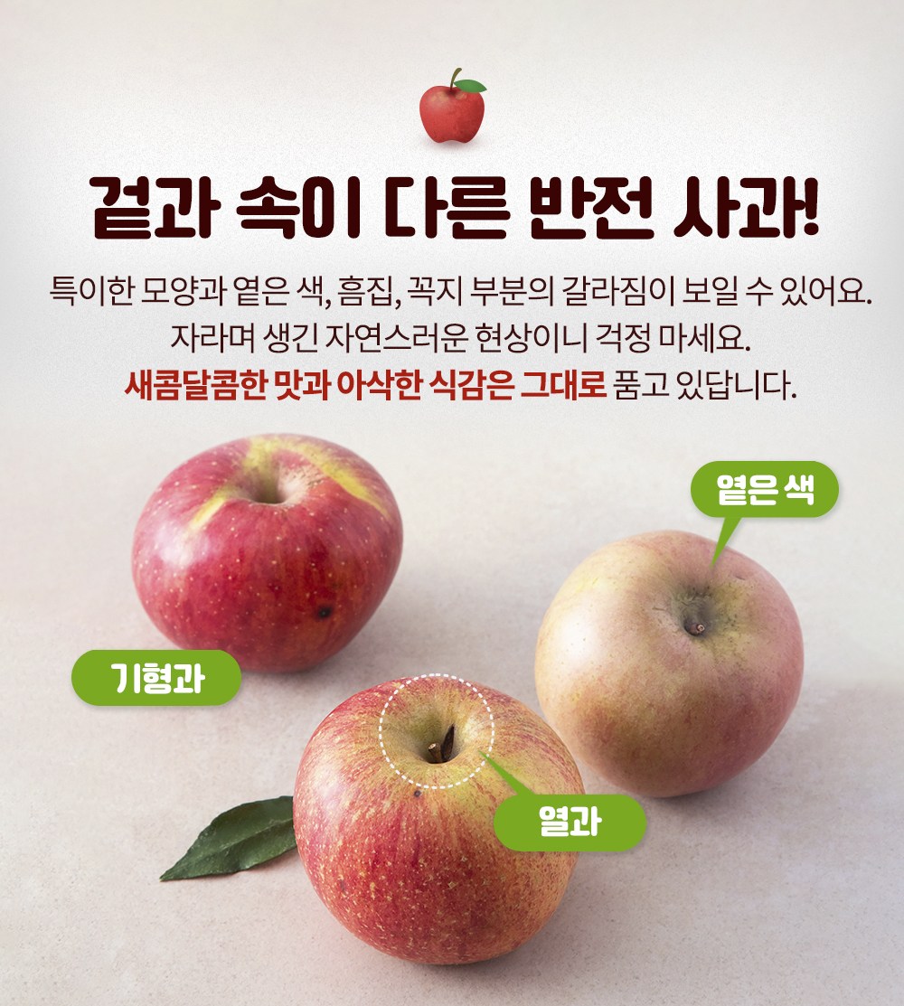 Jok Imperfect Apple , 2 kg( Raendeom ), 1 Pack (가족 못난이 사과, 2kg(랜덤과), 1개)