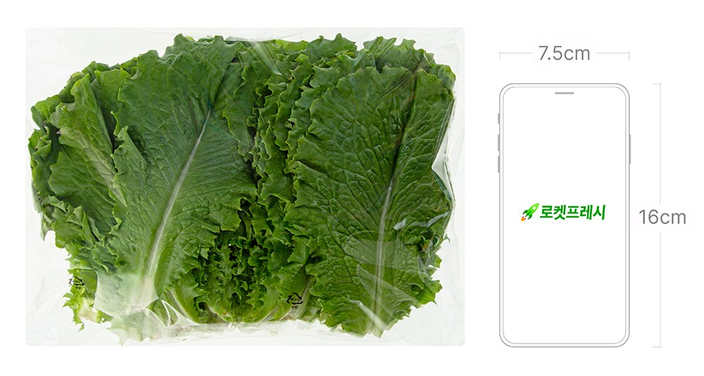 Domestic Eco-friendly Green Lettuce , 200 g, 1 Bag (국내산 친환경 청상추, 200g, 1봉)