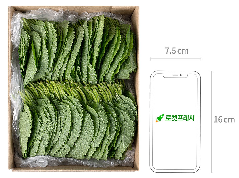 GAP Miryang Perilla Leaves , 500 g, 1 Pack (GAP 밀양 깻잎, 500g, 1개)
