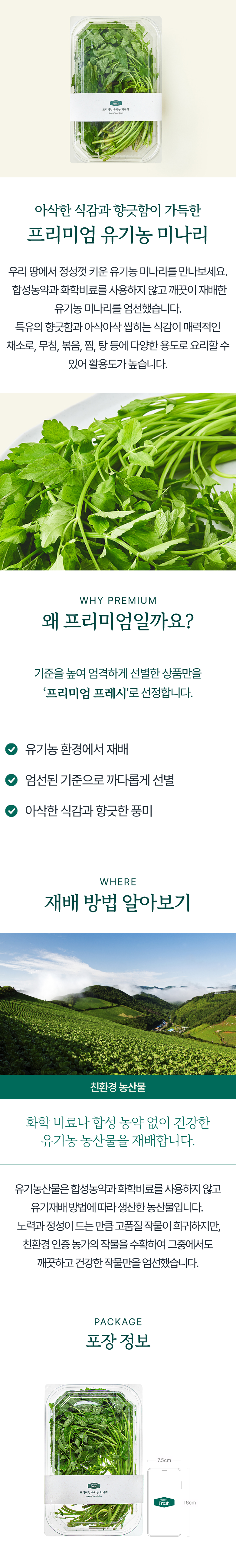 Organic Water Dropwort , 200 g, 1 Pack (프리미엄 유기농 미나리, 200g, 1개)