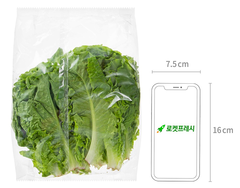 Domestic Green Lettuce (국내산 청상추)