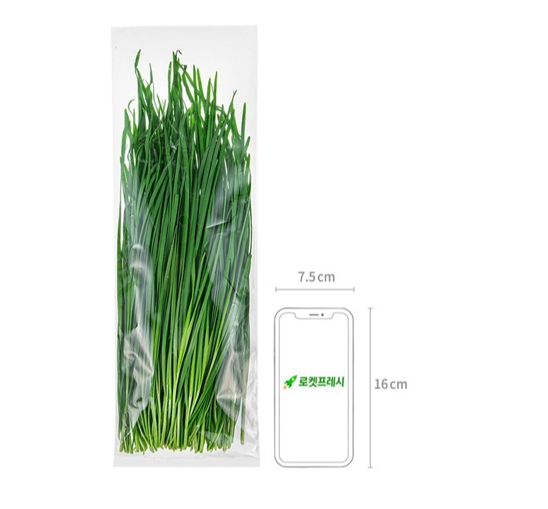 Domestic Eco-friendly Korean Chive , 200 g, 1 Pack (국내산 친환경 부추, 200g, 1개)