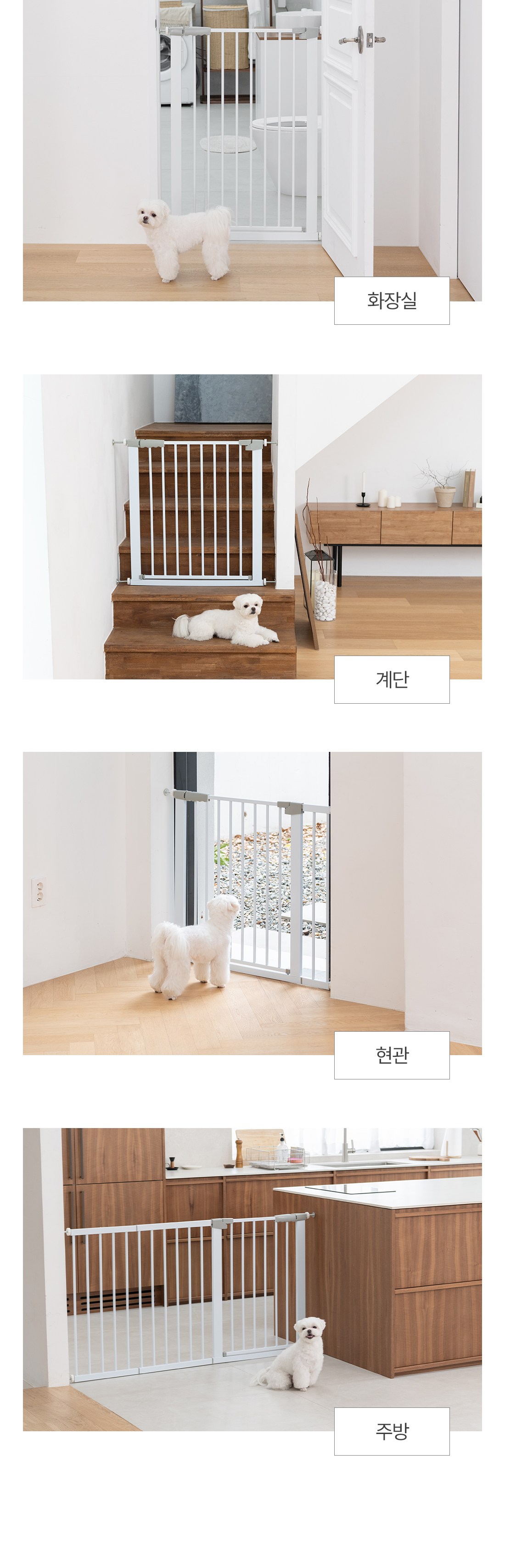 Peulridaseu Gangaji Ji Set Peu Banjadong Anjeonmun , White , 1 Pack (플리다스 강아지 프리미엄 이지 세이프 반자동 안전문, 화이트, 1개)