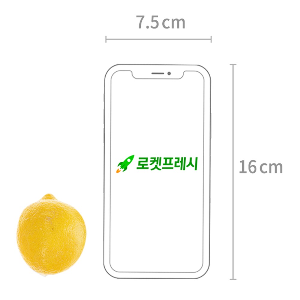 Lemon Dae , 1.2 kg Naeoe (9~11 Pack ), 1 Bag (레몬 대과, 1.2kg내외(9~11입), 1봉)