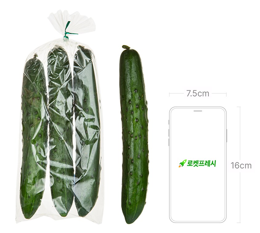 Domestic Chwicheong Cucumber , 3 Pack , 1 Pack (국내산 취청오이, 3입, 1개)
