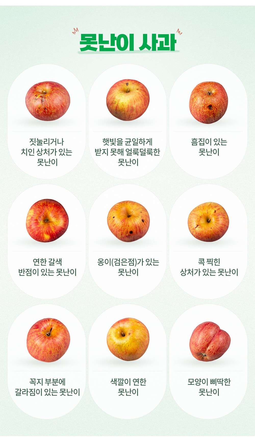 Jok Imperfect Apple , 2 kg( Raendeom ), 1 Pack (가족 못난이 사과, 2kg(랜덤과), 1개)