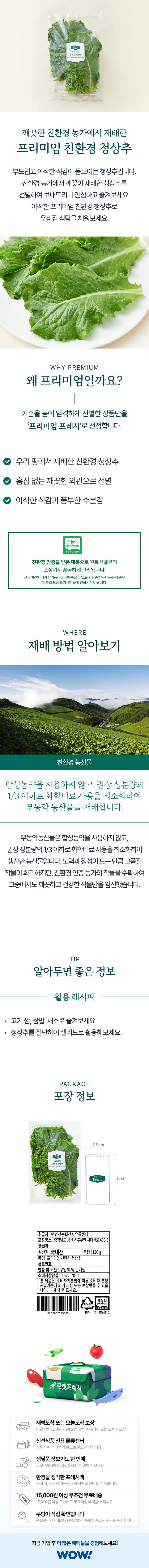 Eco-friendly Green Lettuce , 120 g, 1 Pack (프리미엄 친환경 청상추, 120g, 1개)