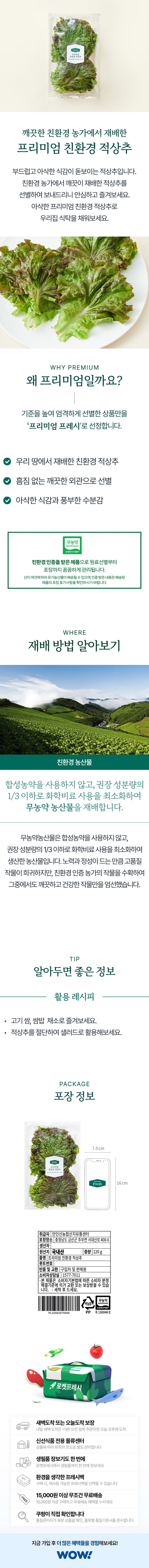 Eco-friendly Red Lettuce , 120 g, 1 Pack (프리미엄 친환경 적상추, 120g, 1개)