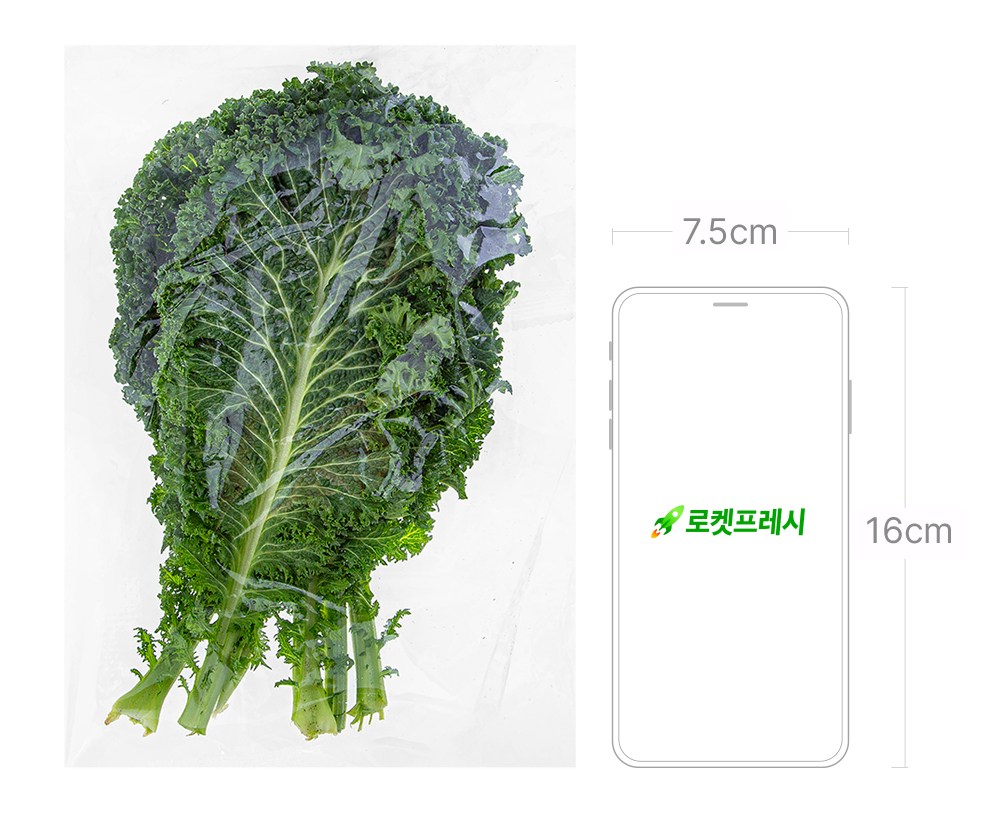 Domestic Cheonggyeojaip , 2 Pack , 70 g (국내산 청겨자잎, 2개, 70g)