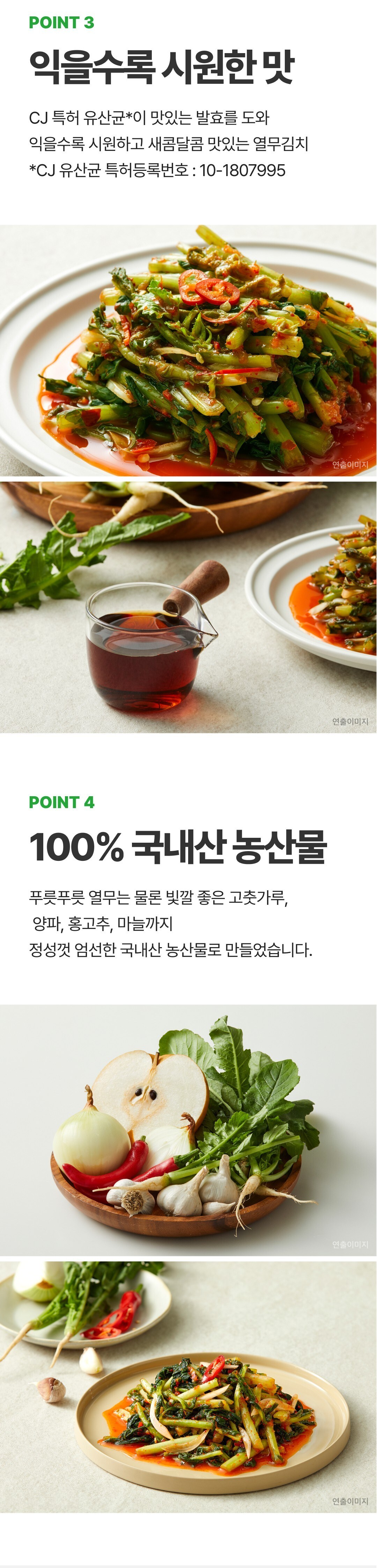Bibigo Yeolmu Kimchi PET, 1.2 kg, 1 Pack (비비고 열무김치 PET, 1.2kg, 1개)