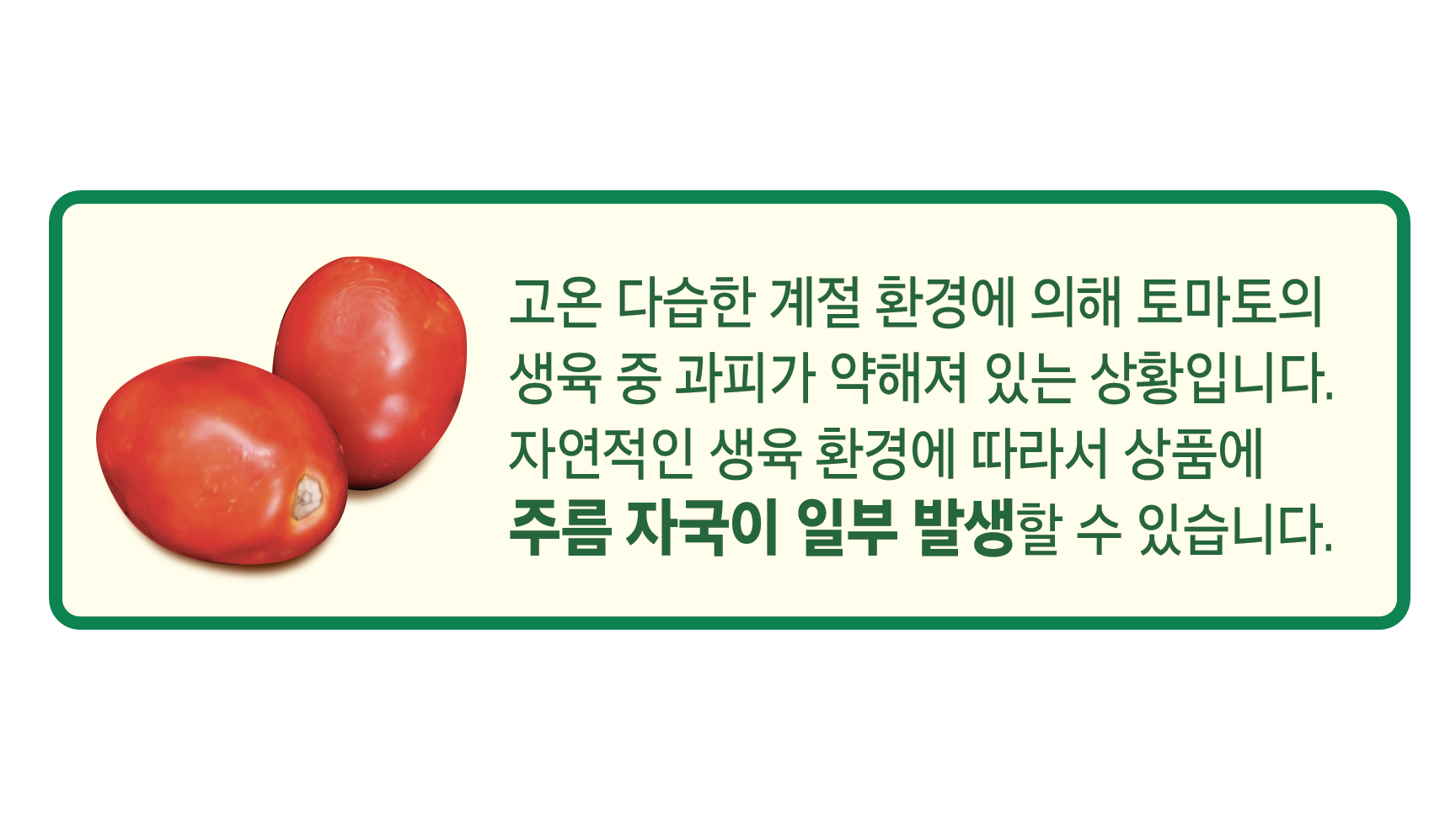 Seutebia Daechu Cherry Tomato , 450 g, 1 Pack (스테비아 대추방울토마토, 450g, 1팩)