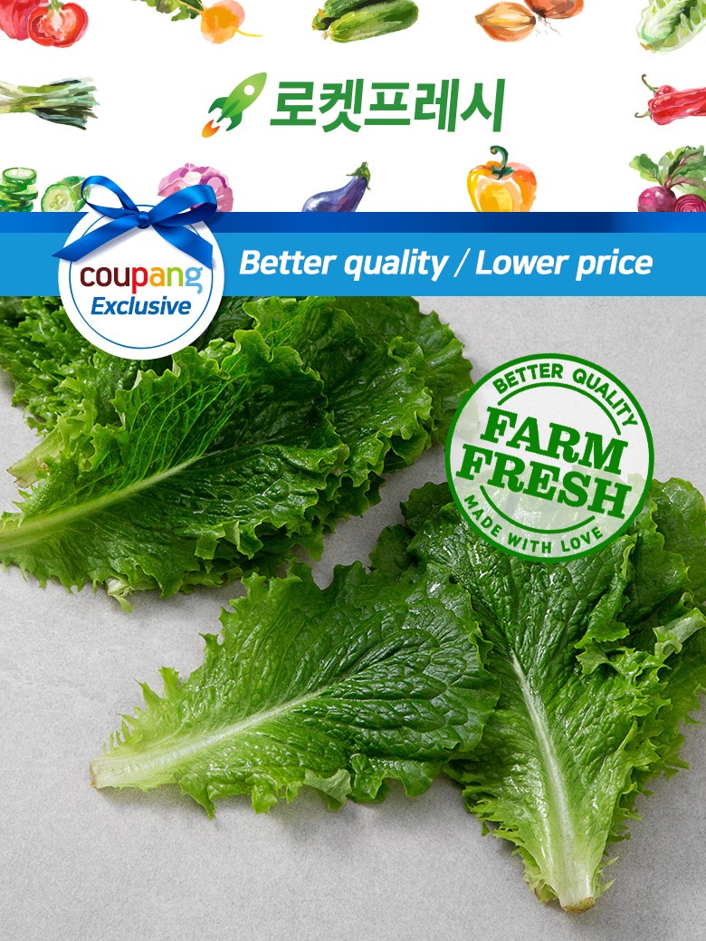 Domestic Green Lettuce (국내산 청상추)
