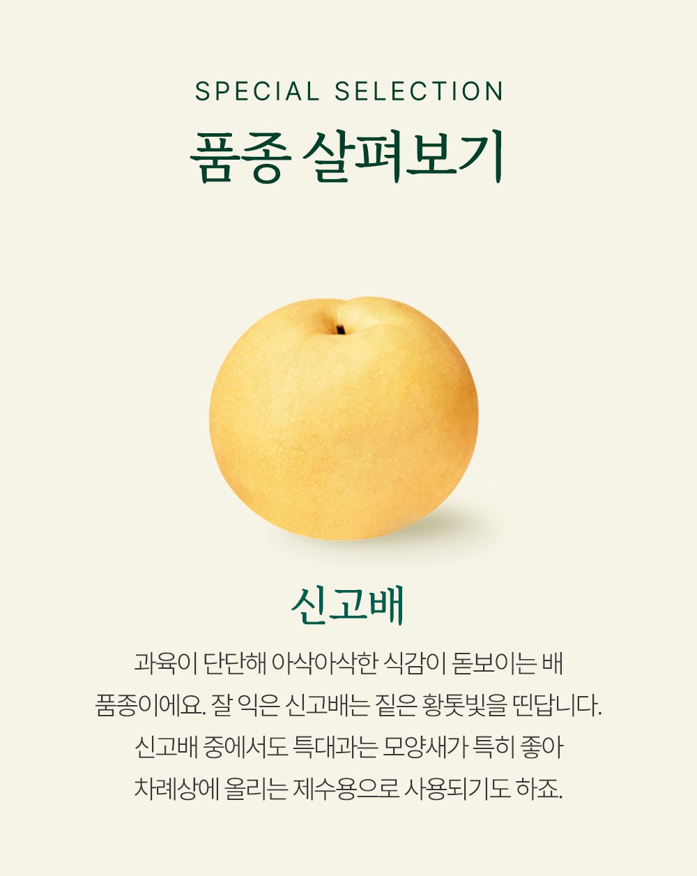 Singo Pear 2 Pack , 1.5 kg, 1 Pack (프리미엄 신고배 2입, 1.5kg, 1개)