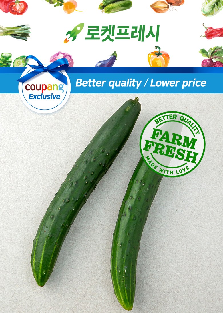 Chwicheong Cucumber , 2 Pack Pack , 1 Pack (취청오이, 2개입, 1개)
