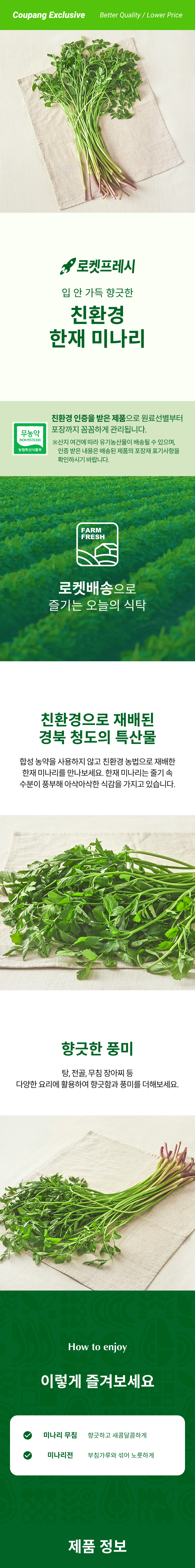 Eco-friendly Jae Water Dropwort , 200 g, 1 Bag (친환경 한재 미나리, 200g, 1봉)