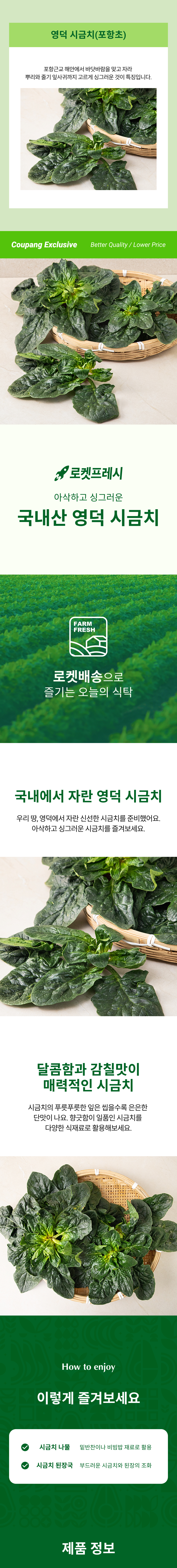 Domestic Yeongdeok Sigeumchi , 600 g, 1 Pack (국내산 영덕 시금치, 600g, 1개)