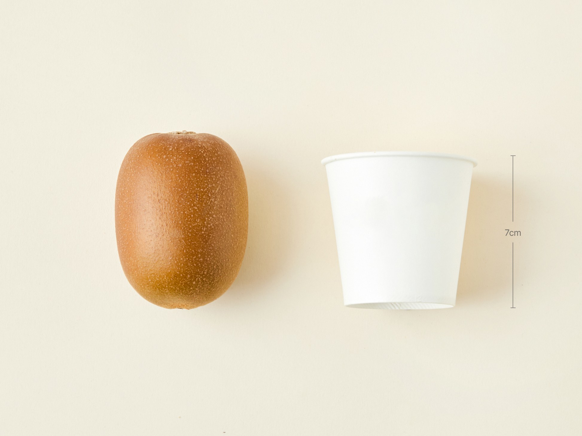 Jeseupeuri Organic Injeung Sseon Gold Kiwi Jeombo , 1.2 kg, 1 Pack (제스프리 유기농 인증 썬골드키위 점보, 1.2kg, 1팩)