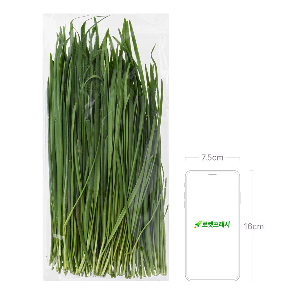 Domestic Pesticide-free Korean Chive , 300 g, 1 Pack (국내산 무농약 부추, 300g, 1개)