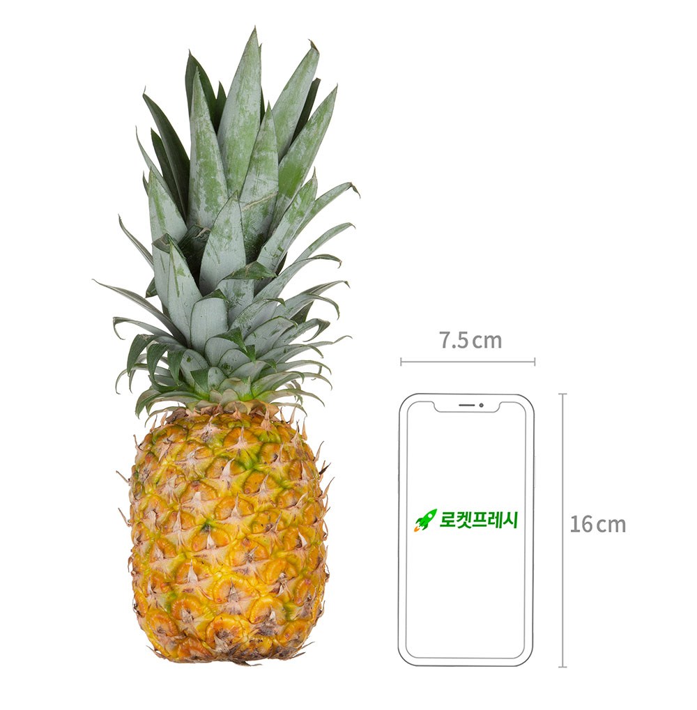 Delmonteu Heoni Glow Pineapple , 2 Pack (델몬트 허니글로우 파인애플, 2개)