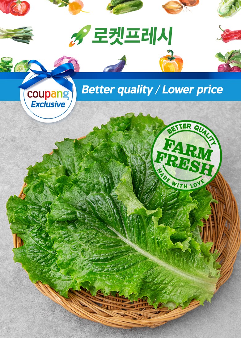 GAP Kki Green Lettuce , 80 g, 1 Pack (GAP 한끼 청상추, 80g, 1개)