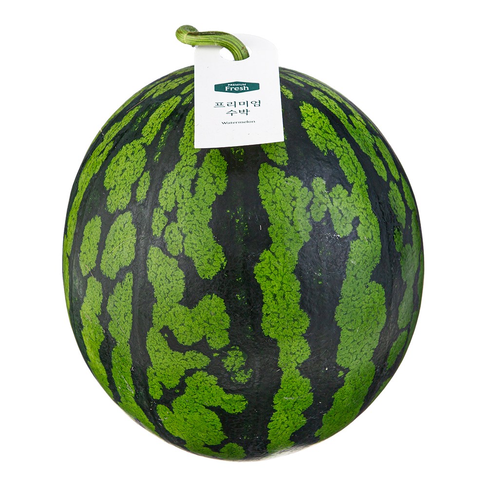 Watermelon , 5 kg Sang , 1 Pack (프리미엄 수박, 5kg이상, 1개)