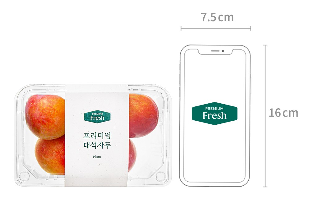 Daeseok Plum , 300 g, 1 Pack (프리미엄 대석자두, 300g, 1개)