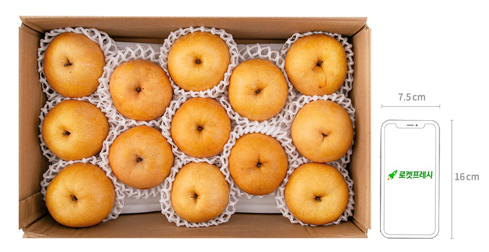 Naju Pear Wonye Nonghyup Altteul Pear , 1 Pack , 5 kg(13~17 Pack ) (나주배원예농협 알뜰배, 1개, 5kg(13~17입))