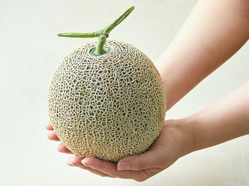 Onnuri Musk Melon , 1 Pack , 1.5 kg (가온누리 머스크 멜론, 1개, 1.5kg)