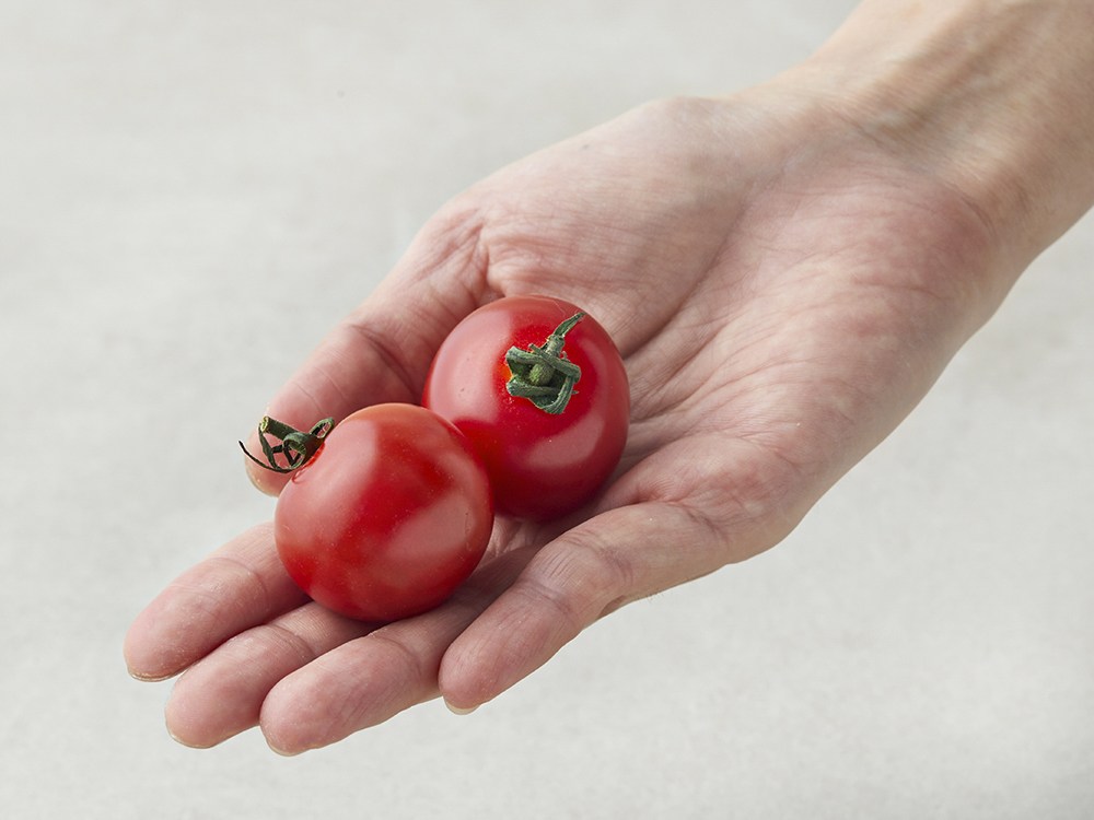 Heulksalrim Eco-friendly Injeung Cherry Tomato , 600 g, 1 Pack (흙살림 친환경 인증 방울토마토, 600g, 1개)