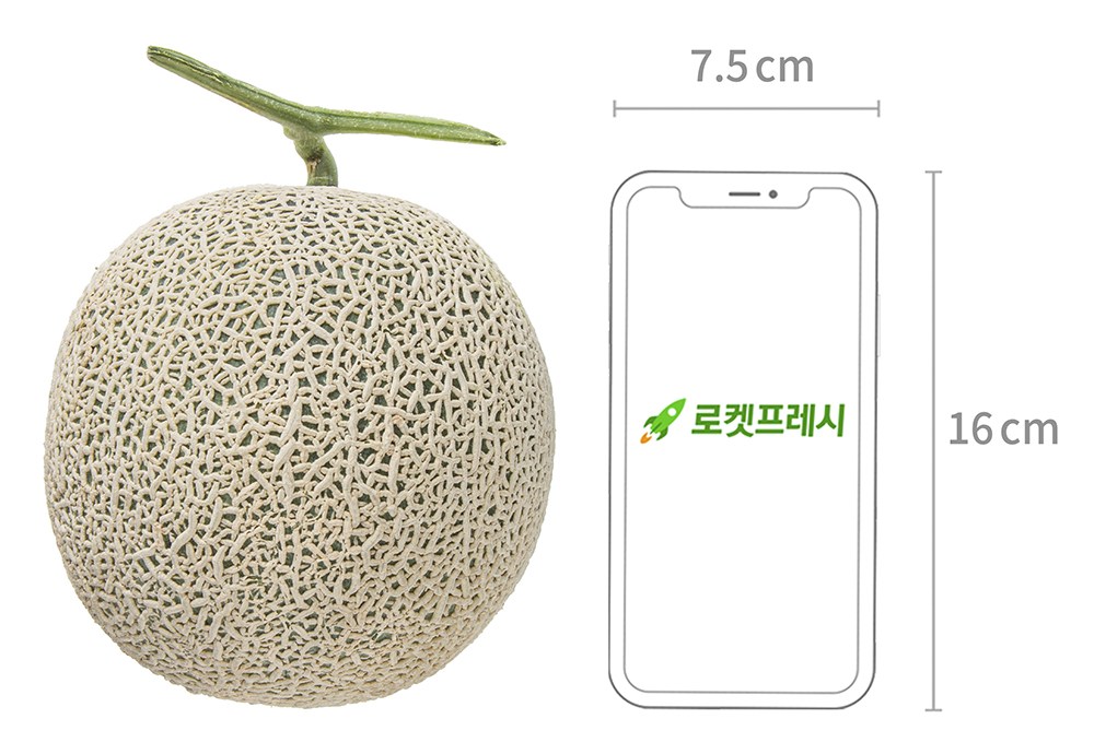 Onnuri Musk Melon , 1 Pack , 1.5 kg (가온누리 머스크 멜론, 1개, 1.5kg)
