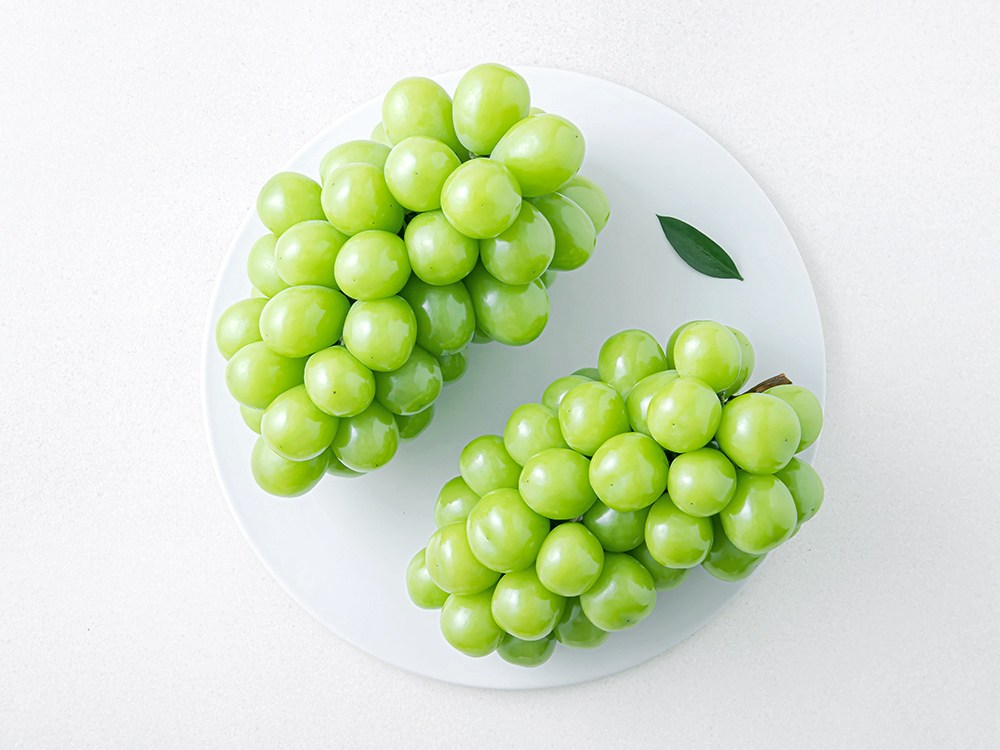 상품 상세 이미지 2