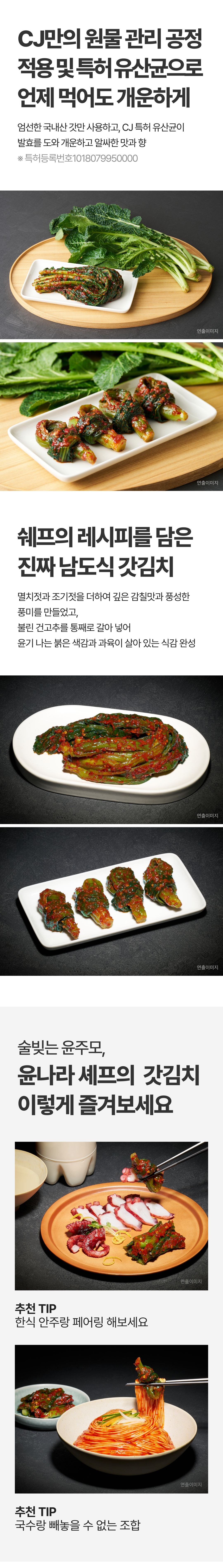 Bibigo Heukbaekyorisa Sul Bit Yunjumosyepeu Namsik Mustard Greens Kimchi , 300 g, 1 Pack (비비고 흑백요리사 술 빚는 윤주모셰프 남도식 갓김치, 300g, 1개)
