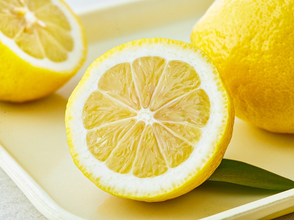 Flavor Gel Lemon (맛젤 레몬)
