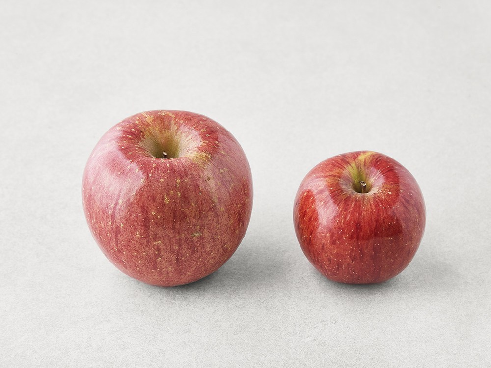Persimmon Kkokkoma Apple , 1.5 kg(11~14 Pack ), 1 Pack (과일도감 꼬꼬마 사과, 1.5kg(11~14입), 1개)